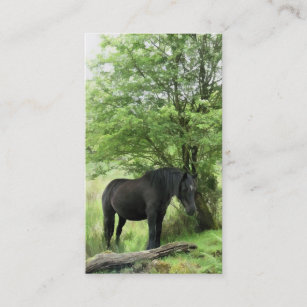 HORSE BUSINESS CARD