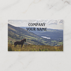 Horse Business Card