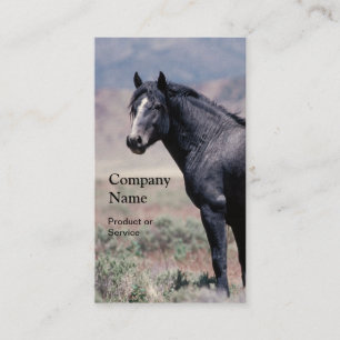 Horse business card