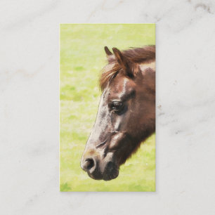 HORSE BUSINESS CARD