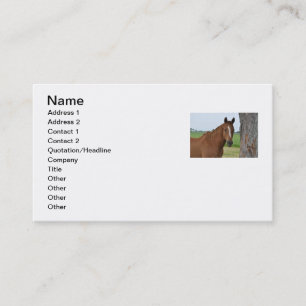 Horse Business Card
