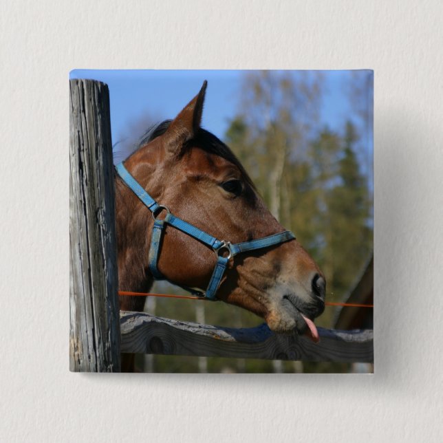 Horse button (Front)