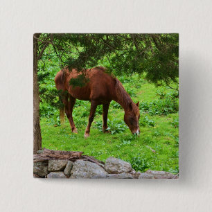 Horse Button