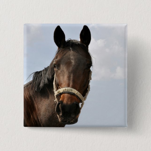 Horse Buttons (Front)