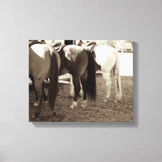 Horse Butts Canvas Photo Print