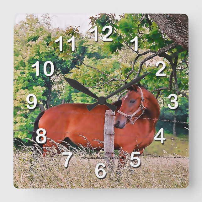 Horse By Fence-Wall Clock (Front)