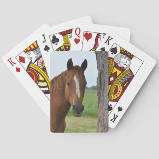 Horse By Tree Playing Cards