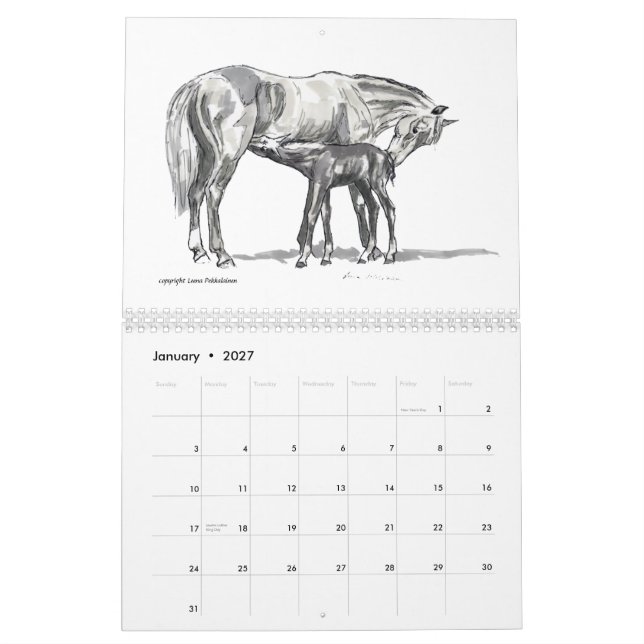Horse Calendar (Jan 2027)