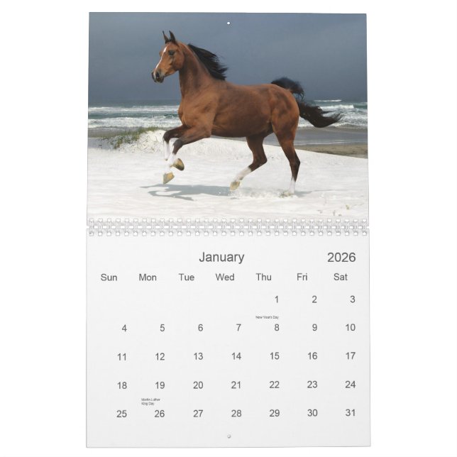 Horse Calendar (Jan 2026)