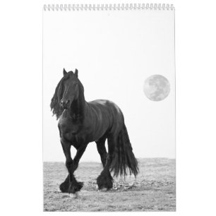 Horse Calendar