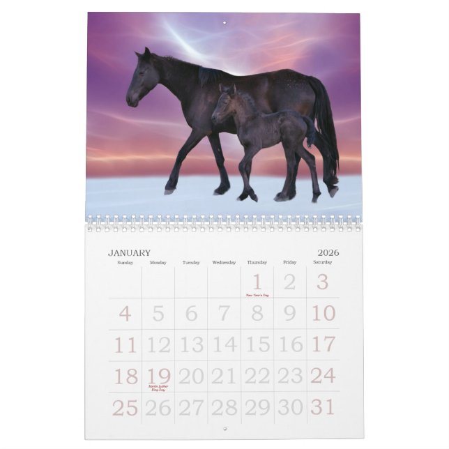 Horse Calendar (Jan 2026)