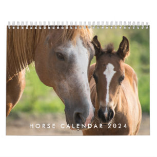 Horse Calendar 2024 With Your Photos