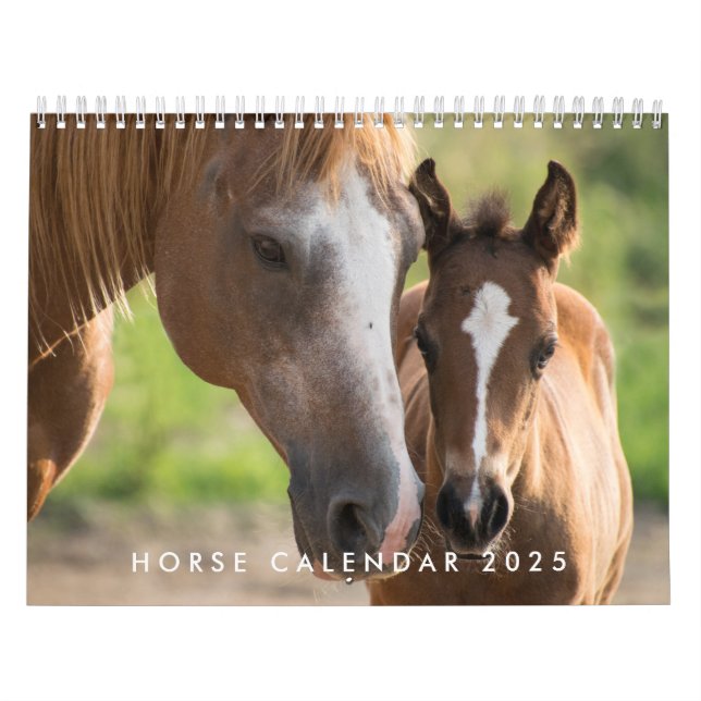 Horse Calendar 2025 With Your Photos (Cover)