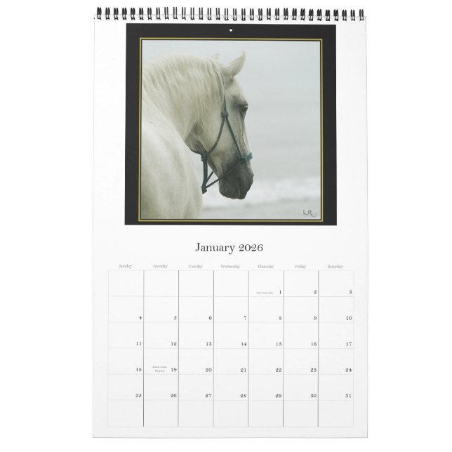 Horse Calendar -Andalusian, Friesian Lipizzan (Jan 2026)