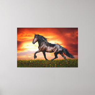 Horse Canvas Print