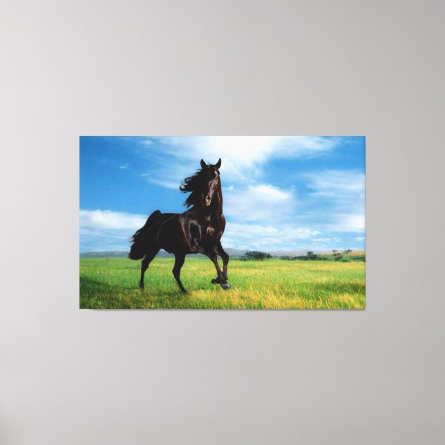 Horse Canvas Print (Front)