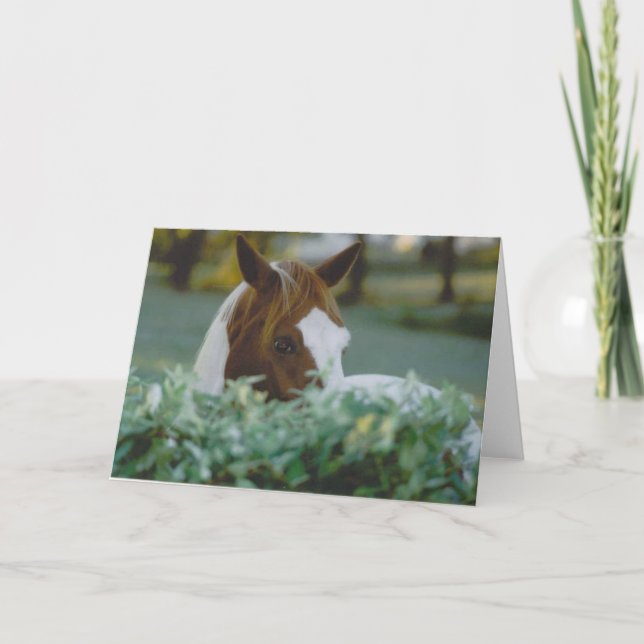 horse card (Front)