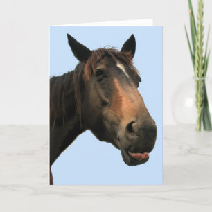 Horse Card
