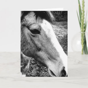 Horse Card