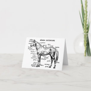 Horse Card
