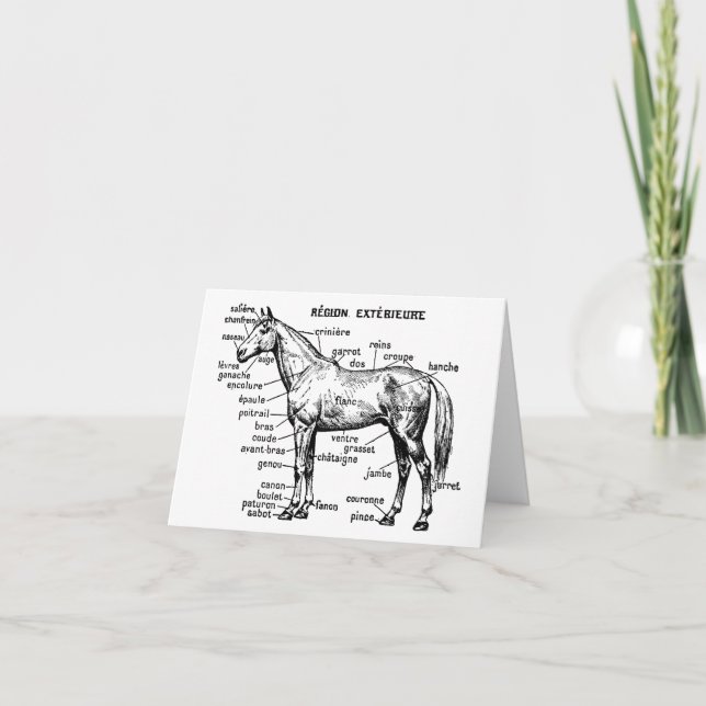Horse Card (Front)