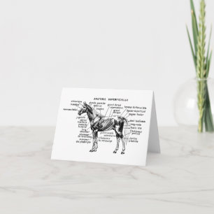 Horse Card