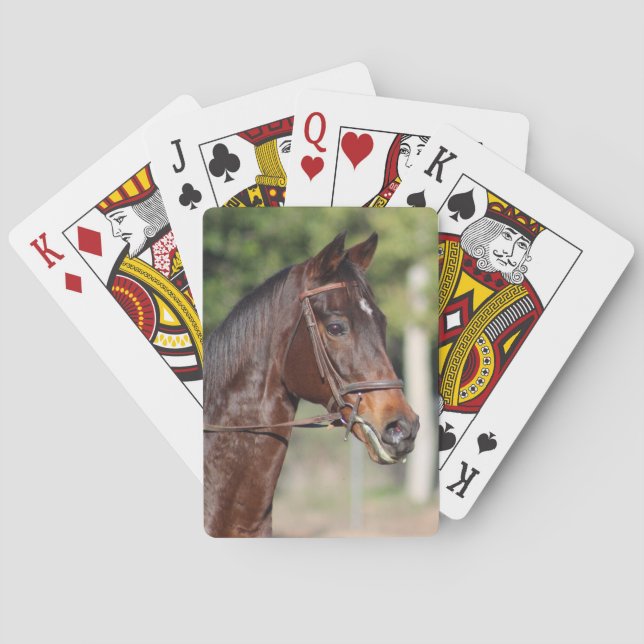 Horse cards (Back)