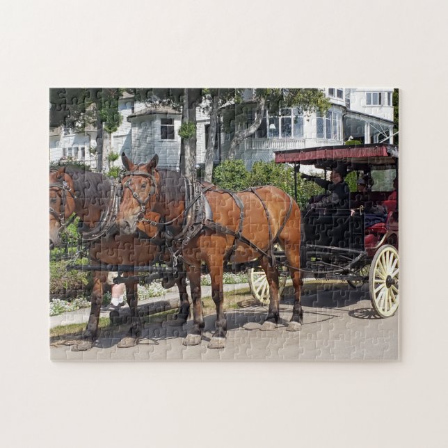 Horse & Carriage on Mackinac Island MI Jigsaw Puzzle (Horizontal)