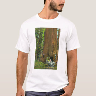 Horse Carriage Under a Giant Redwood T-Shirt