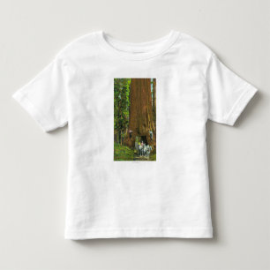 Horse Carriage Under a Giant Redwood Toddler T-Shirt