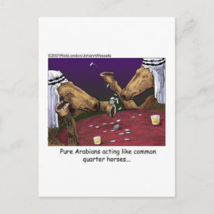Horse Cartoon Gifts Tees & Collectibles Postcard
