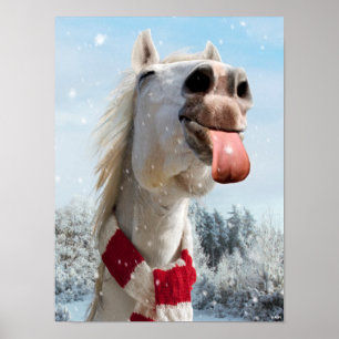 Horse Catching Snowflakes Poster