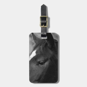 Horse cd ltcna luggage tag
