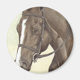 HORSE Champion Appendix QH Mare Magnet