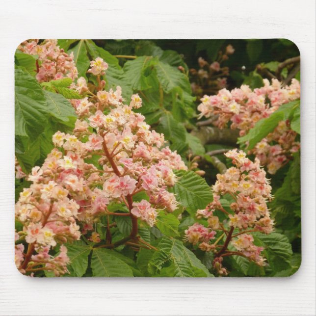 Horse Chestnut Blossom Mousepad (Front)