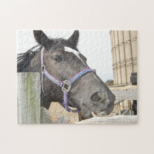Horse Chewing a Fence Post Jigsaw Puzzle (Horizontal)