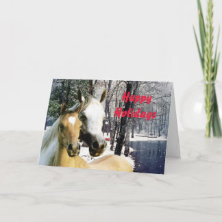 Horse Christmas Card