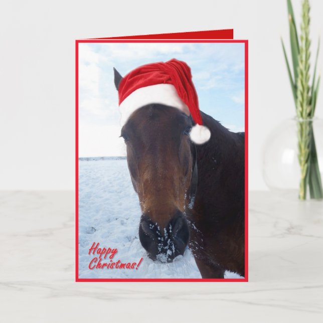 Horse Christmas Card - blank inside (Front)