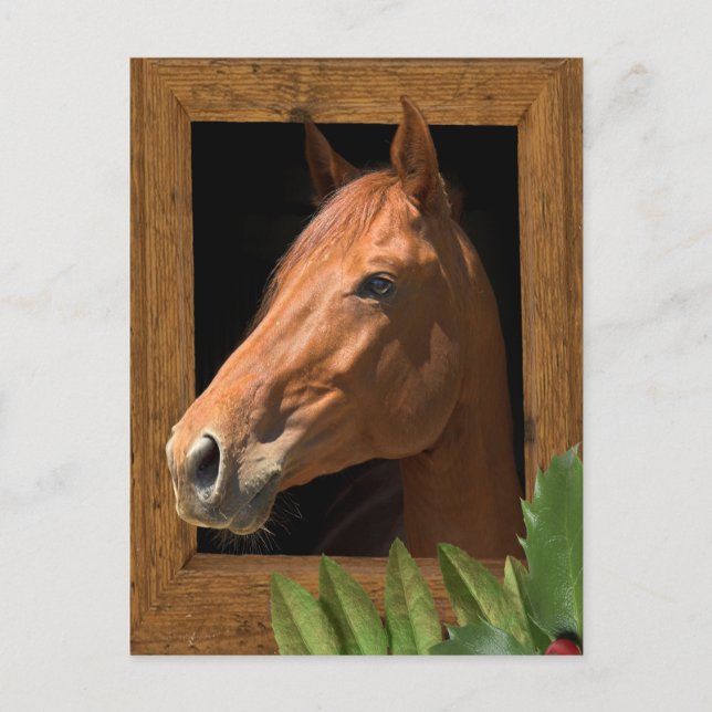 Horse Christmas Holiday Postcard (Front)