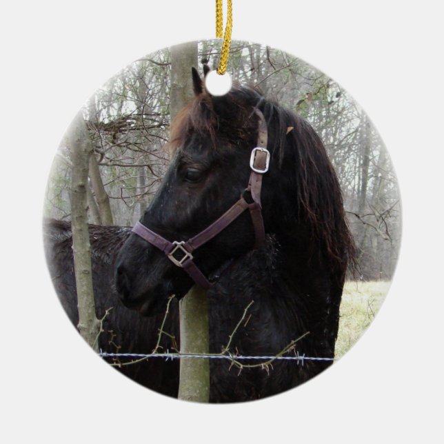 HORSE CHRISTMAS ORNAMENT (Front)