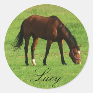 Horse Classic Round Sticker