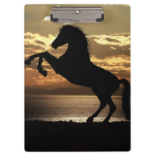 horse clipboard
