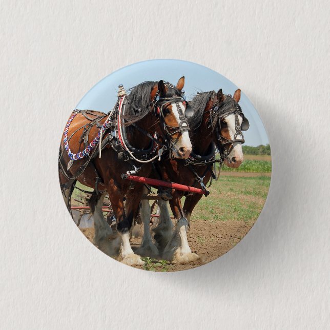Horse Clydesdale Farming Photo 3 Cm Round Badge (Front)