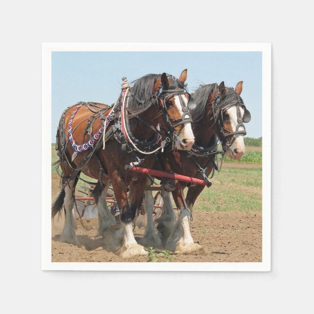 Horse Clydesdale Farming Photo Napkin (Front)