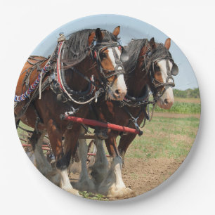 Horse Clydesdale Farming Photo Paper Plate