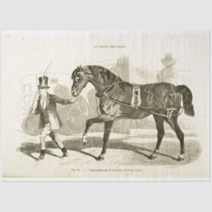 Horse Coachman Ephemera Decoupage Vintage French Tissue Paper