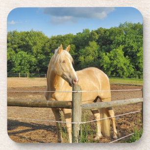 Horse Coaster