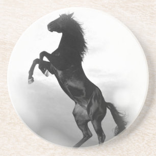 Horse Coaster