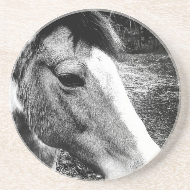 Horse Coaster (Front)