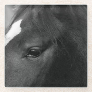 Horse coastercna glass coaster